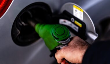 il futuro è a benzina?