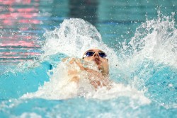 Thomas Ceccon (Fama)