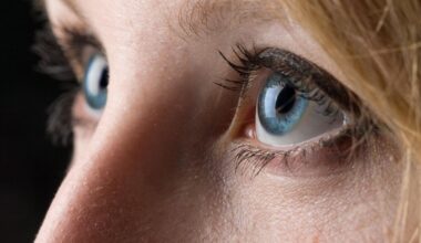 vai alla homepage de Il Sole 24 Ore