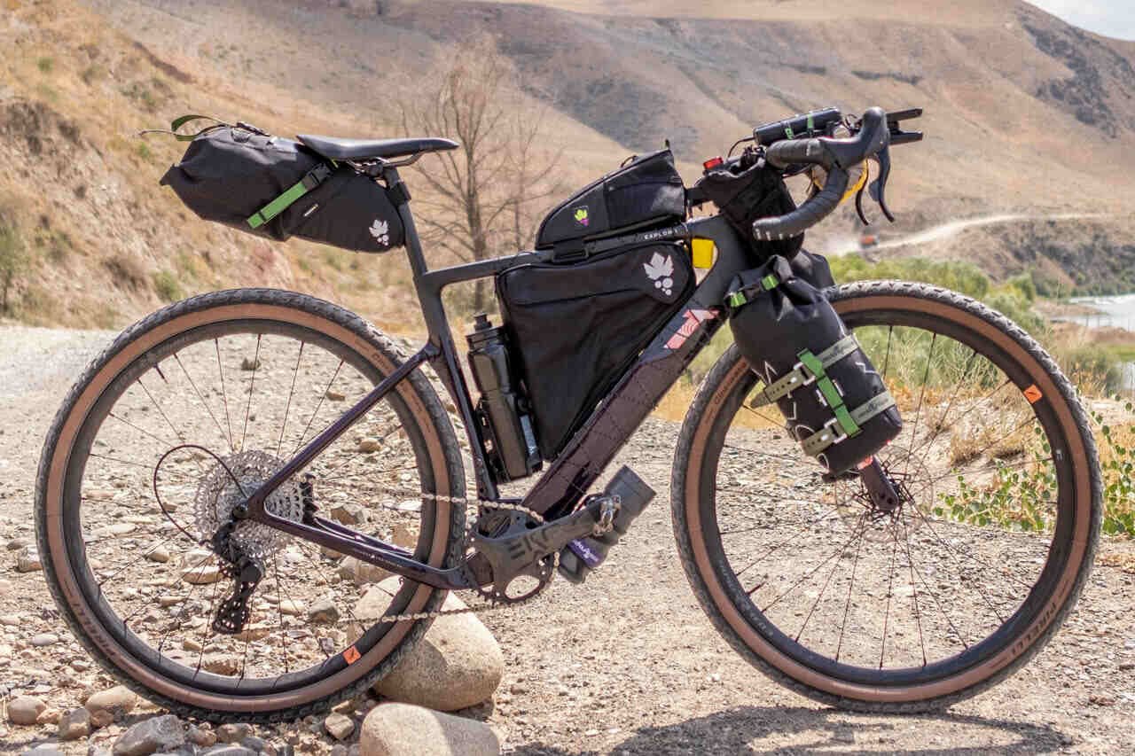 distribuzione in tutto il mondo