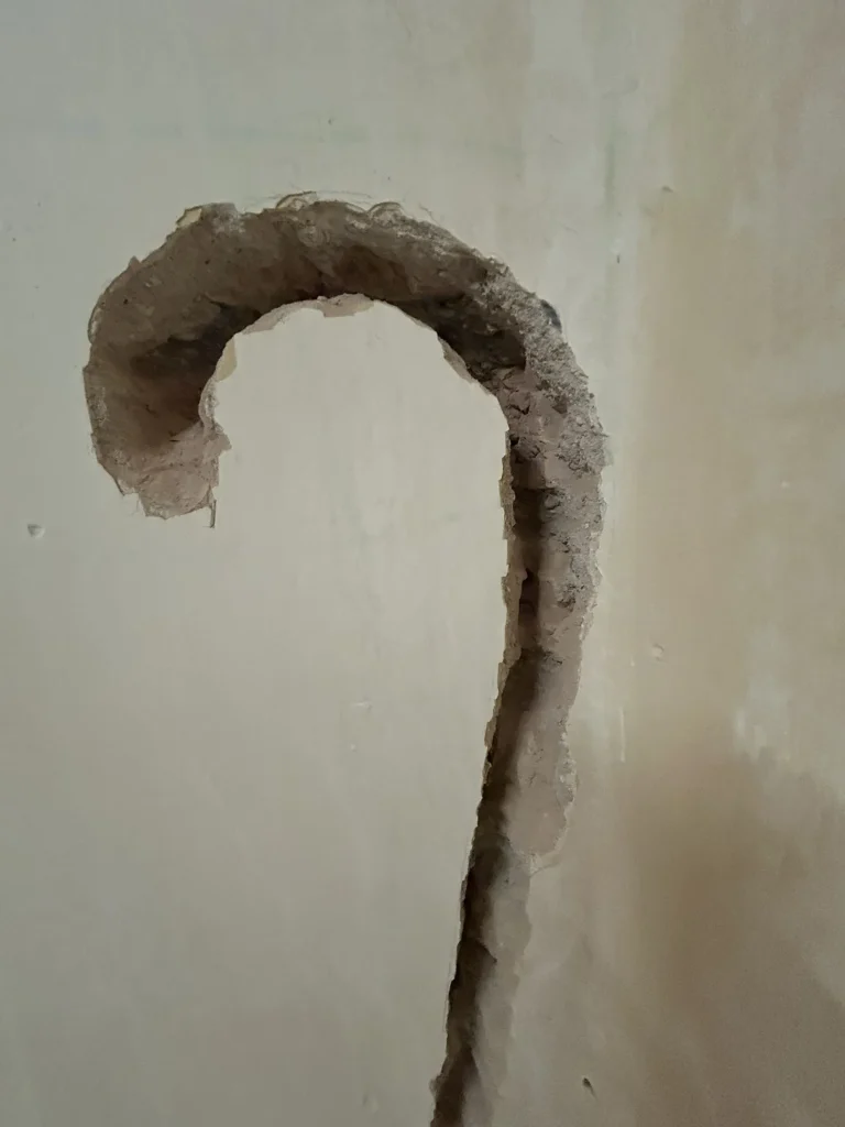 immagine per Federico De Leonardis, dettaglio Pastorale n.13, 2025. Ph. B. Caterbetti