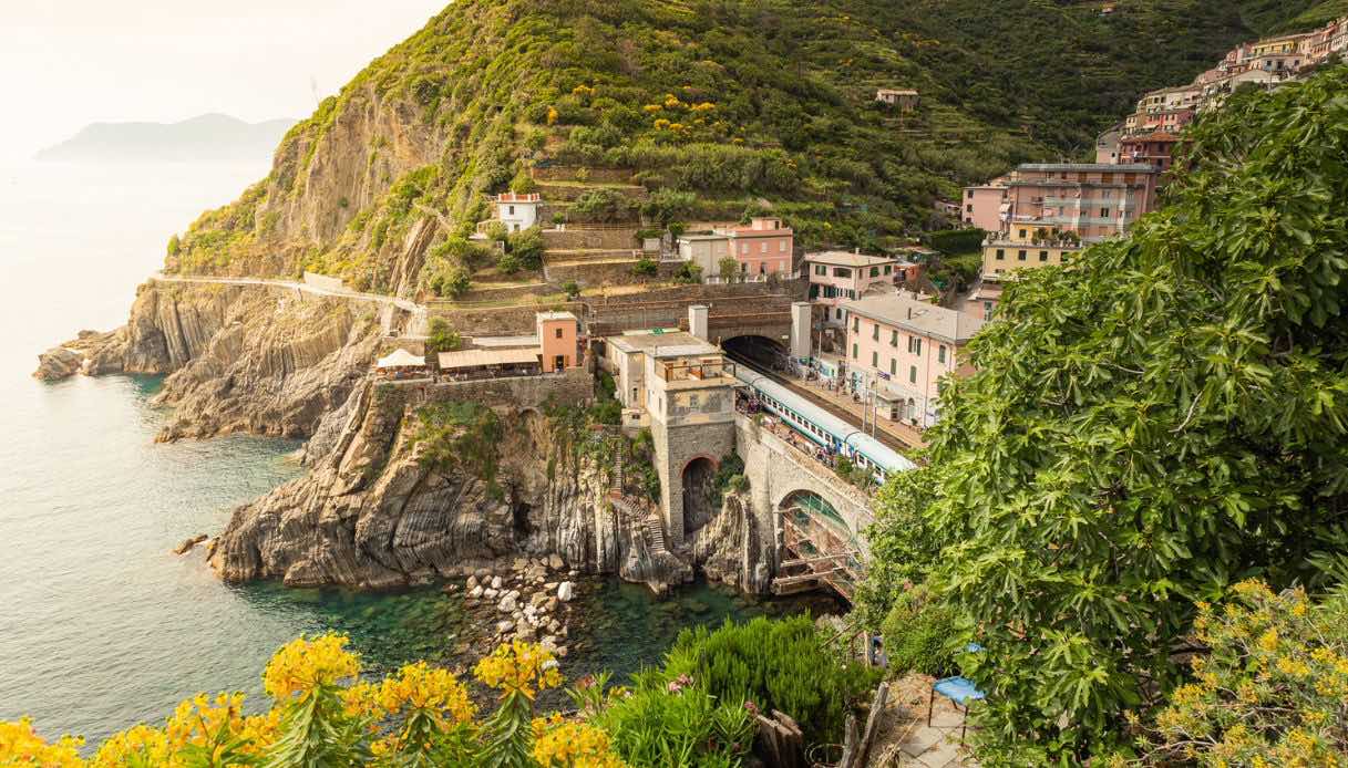 tutti i vincitori della nuova edizione