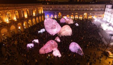 Bologna e le rocce gigantesche di Iwagumi Dismisura: cosa sono