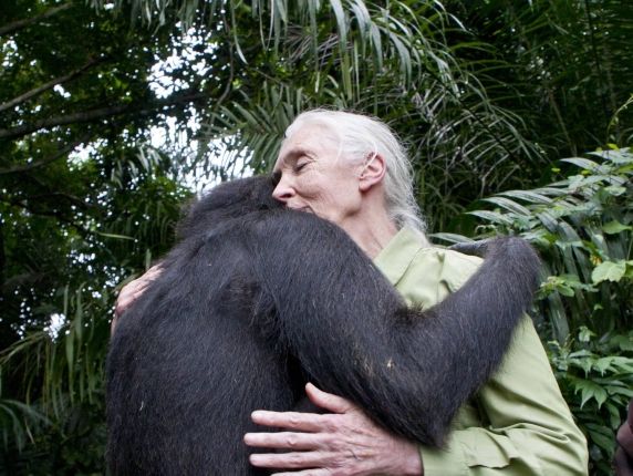 Jane Goodall
