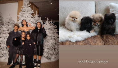 "I cuccioli non sono peluche, manda i tuoi bambini a fare volontariato nei rifugi"