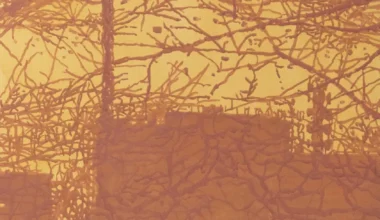 Richter, Deleuze, Pancrazzi | Elio Grazioli