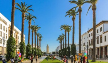 tanti voli a meno di 15 euro