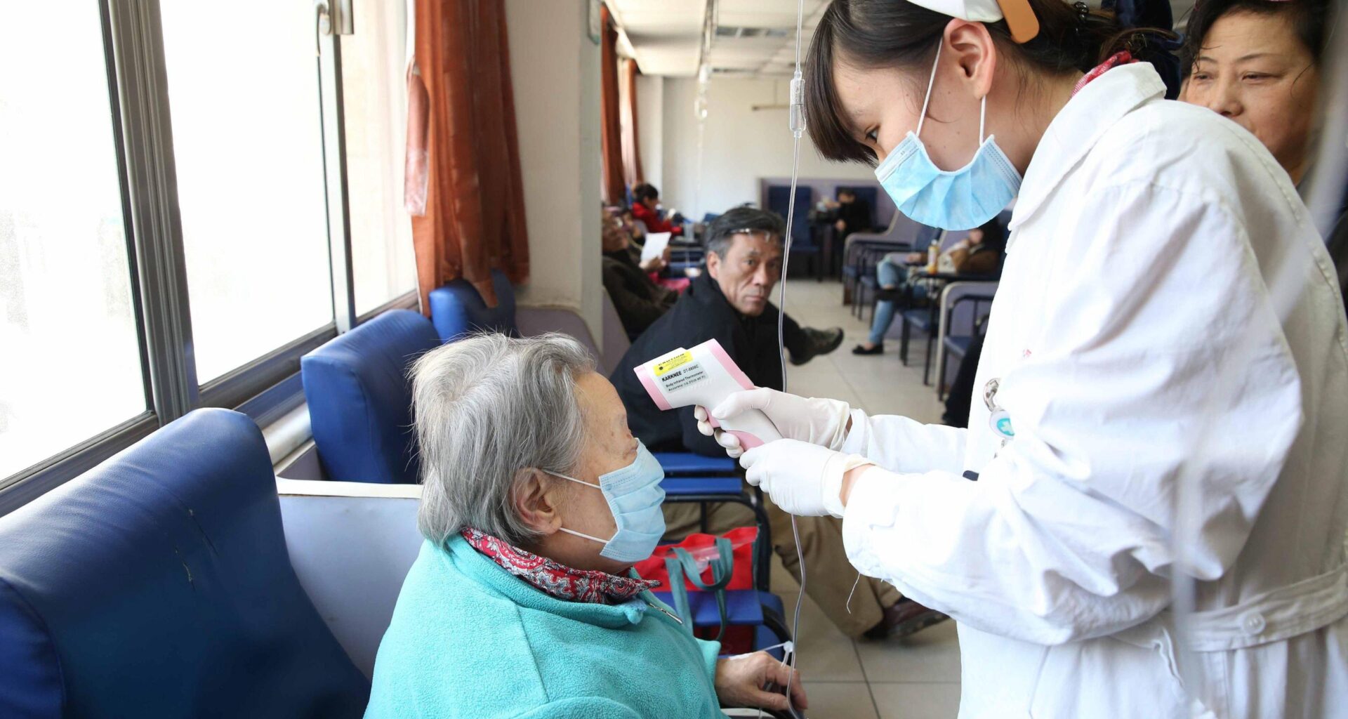 Influenza aviaria, il virus che potrebbe scatenare la prossima pandemia: ecco cosa sapere