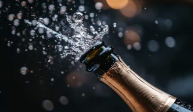 Gli spumanti italiani sono le bollicine più vendute e bevute negli Usa