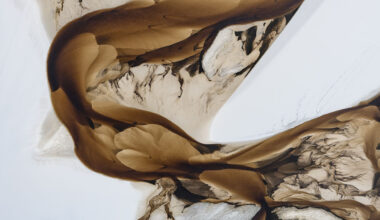 Dune, neve e piante in decomposizione vincono l’International Landscape Photographer of the Year 2025