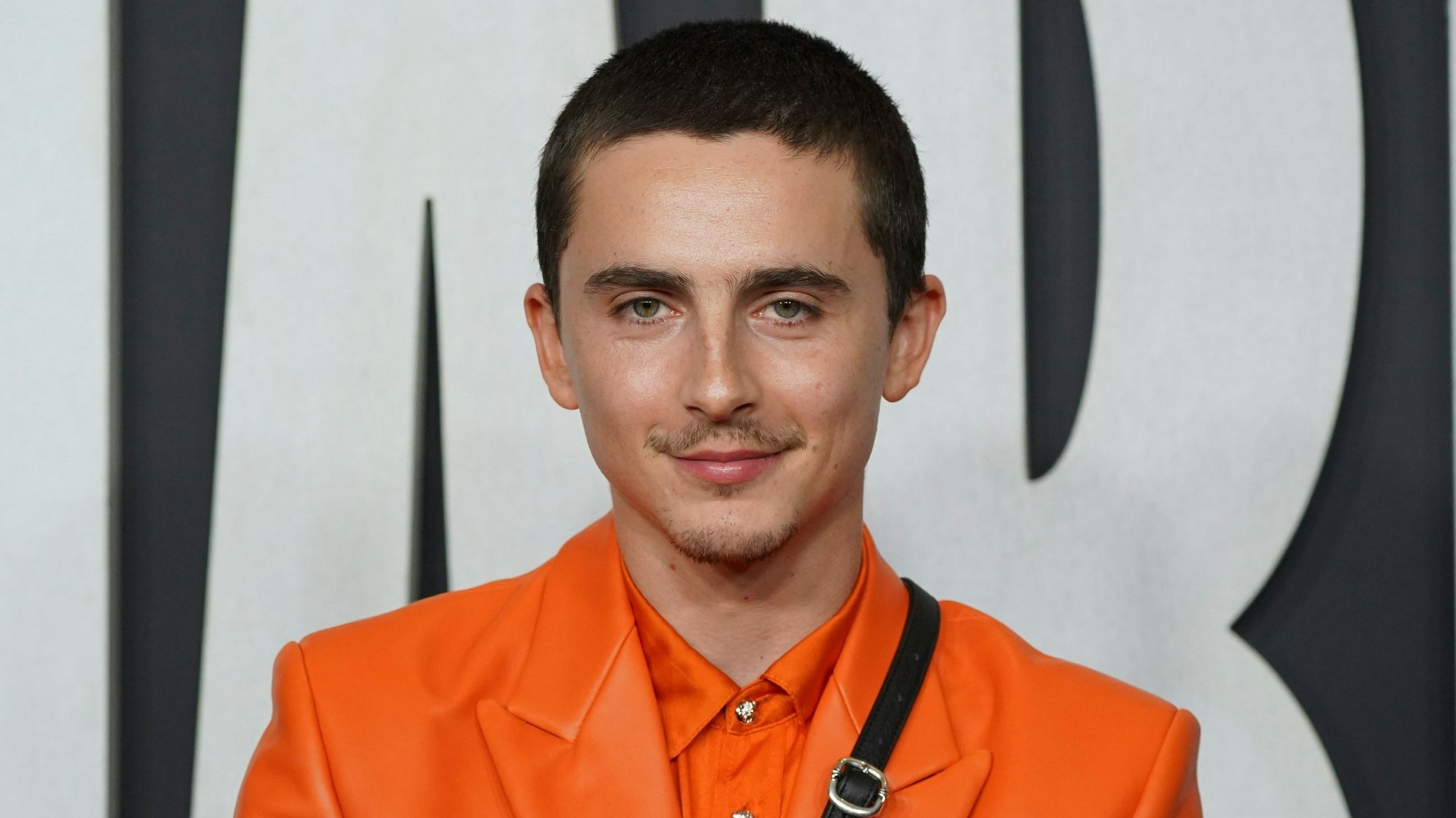 Timothée Chalamet sul red carpet di Marty Supreme - Credits: LaPresse