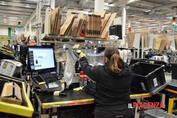 addetta Amazon-2 addetta Amazon-2