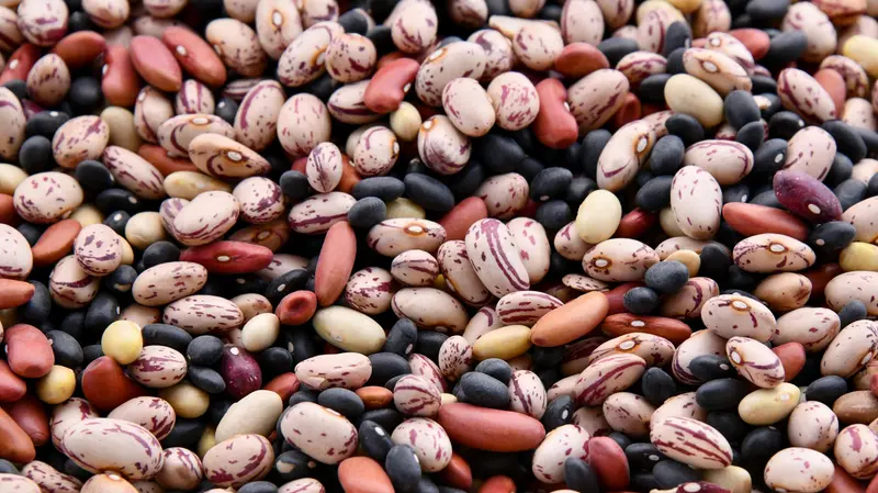 Al terzo livello troviamo i legumi, fonte importante di proteine vegetali