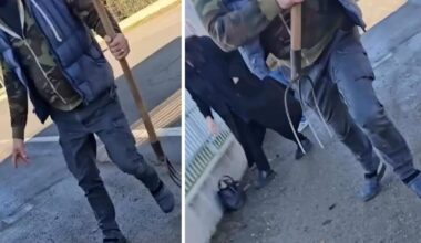 “Aggrediti col forcone durante il sopralluogo nel macello”: la denuncia del M5s