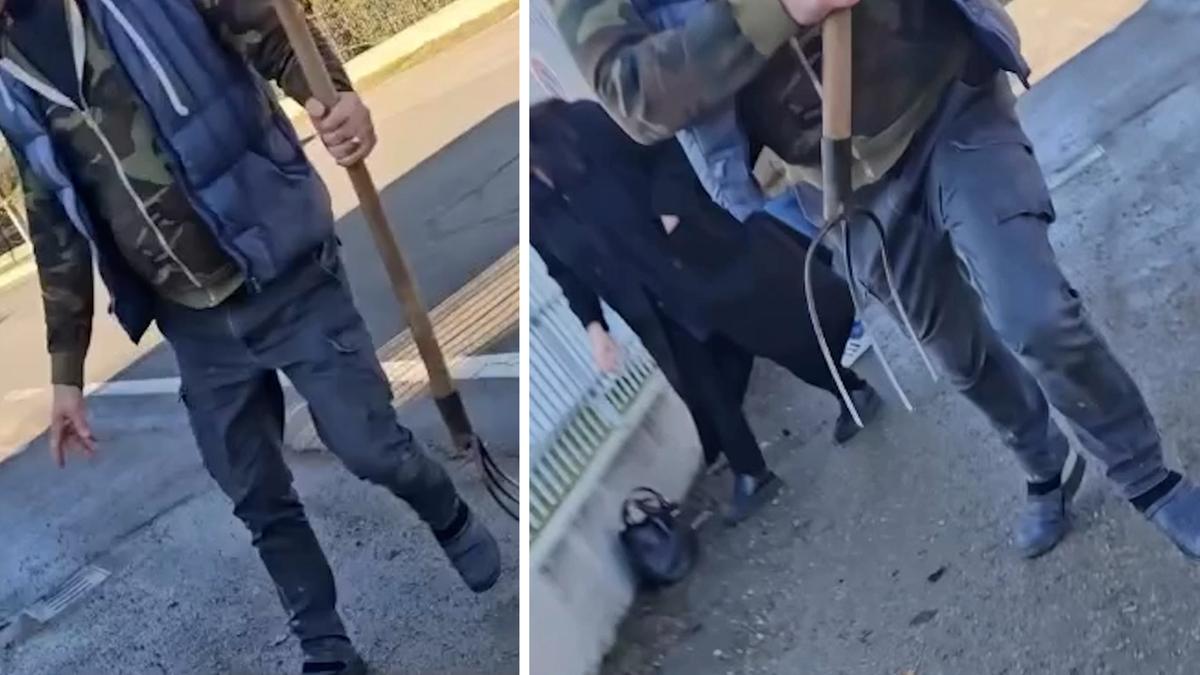 “Aggrediti col forcone durante il sopralluogo nel macello”: la denuncia del M5s