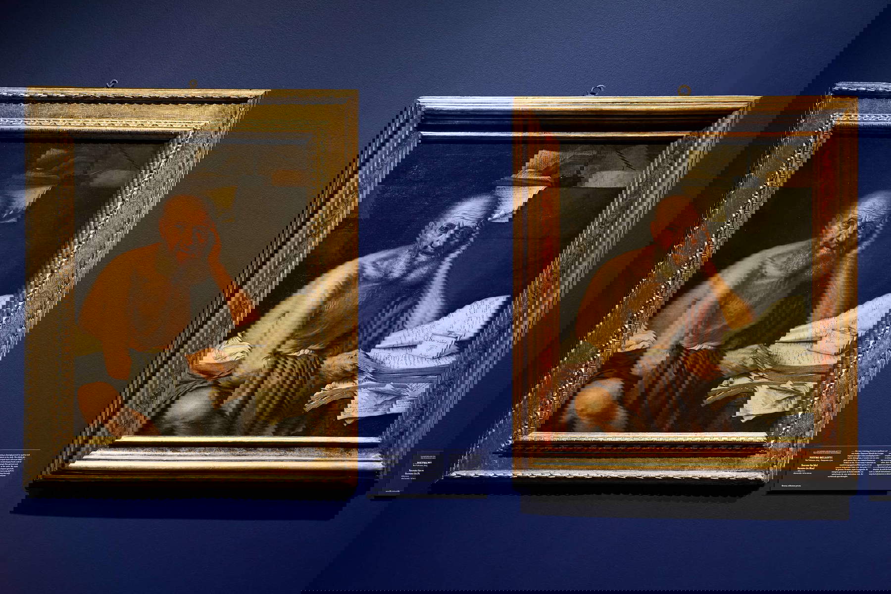 Allestimenti della mostra Pietro Bellotti e la pittura del Seicento a Venezia. Stupore Realtà Enigma. Foto: Chiara Rizzi