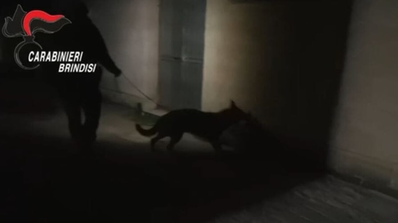 indagati in silenzio davanti al gip