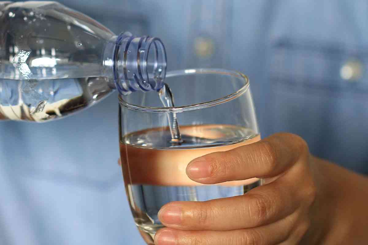 Francesca Petriccione