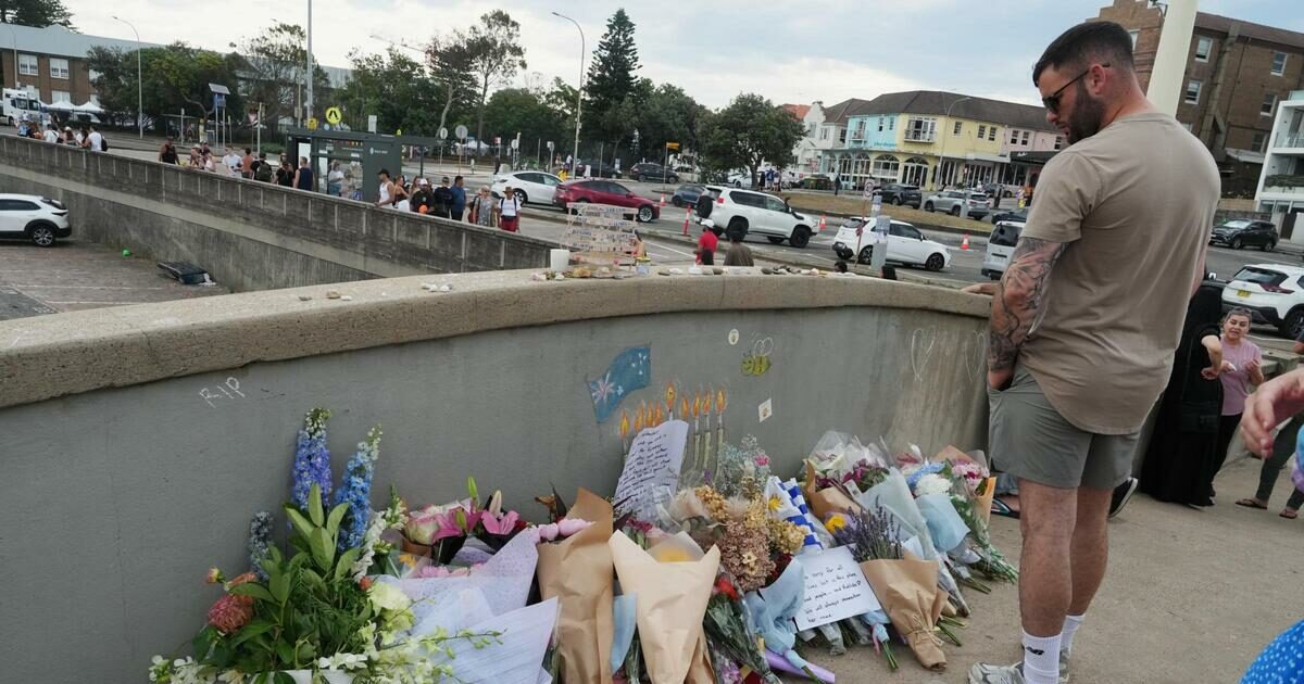 Strage di Bondi Beach: attentatori si erano addestrati in Australia | Il Fatto Quotidiano