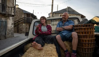 Articolo su Checco Zalone, l’unico vero filosofo italiano vivente (ma anche su molto altro)