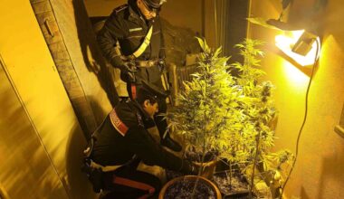 nei guai un uomo, la madre e la sorella