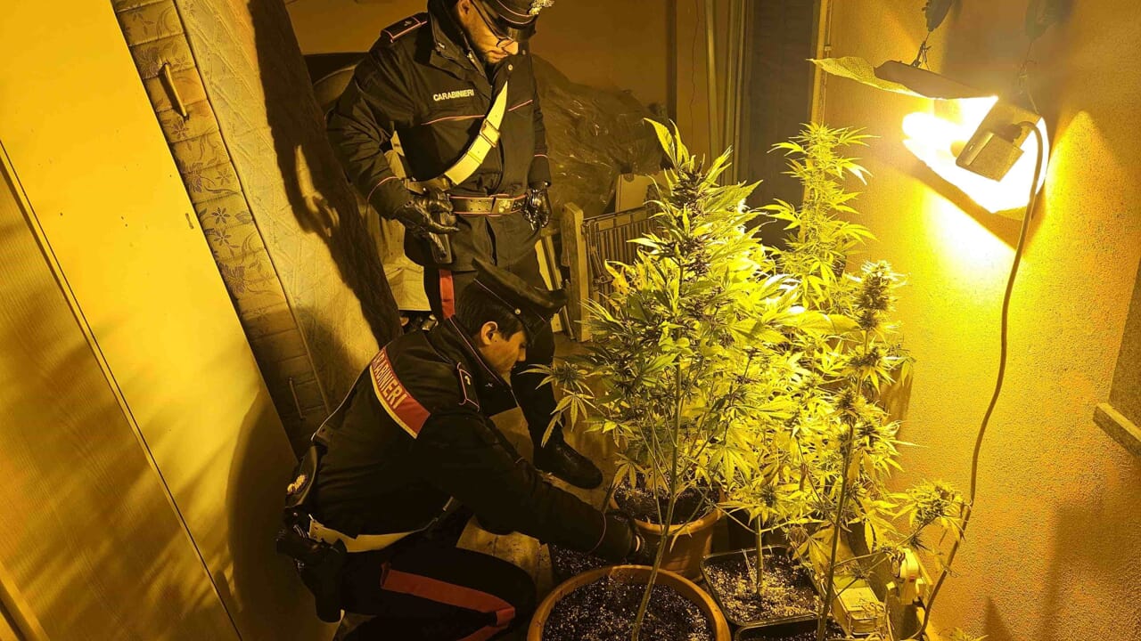 nei guai un uomo, la madre e la sorella