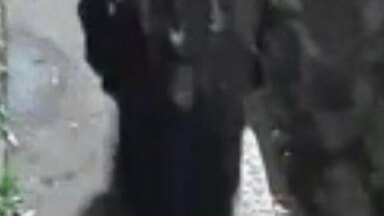 Donna trovata morta in via Paruta a Milano. La foto. Si cerca di capire l'identità