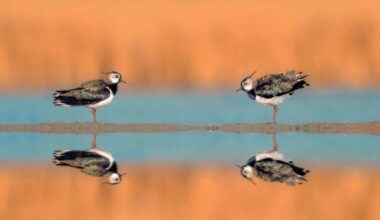 premiati i migliori scatti del Parco