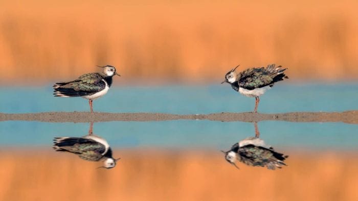 premiati i migliori scatti del Parco