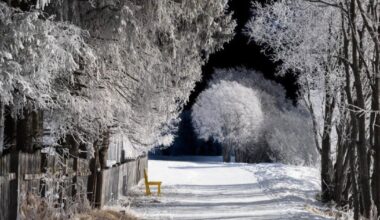 Engadina: visioni ed emozioni del fotografo Michele Gastl