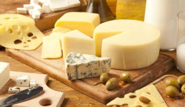 Il formaggio aiuta il cervello, gli effetti di mozzarella e parmigiano: il 'super studio'