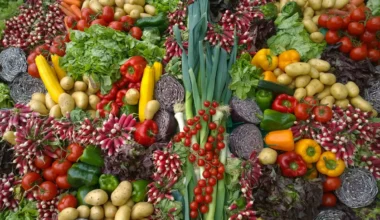 Nuova piramide alimentare: ecco cosa privilegiare e cosa limitare