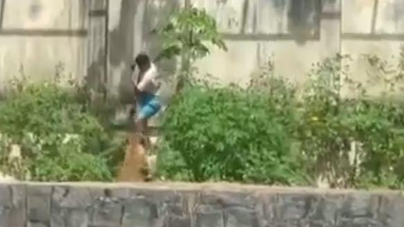 Un giovane entra nella gabbia dei leoni e una leonessa lo sbrana davanti ai turisti sotto choc