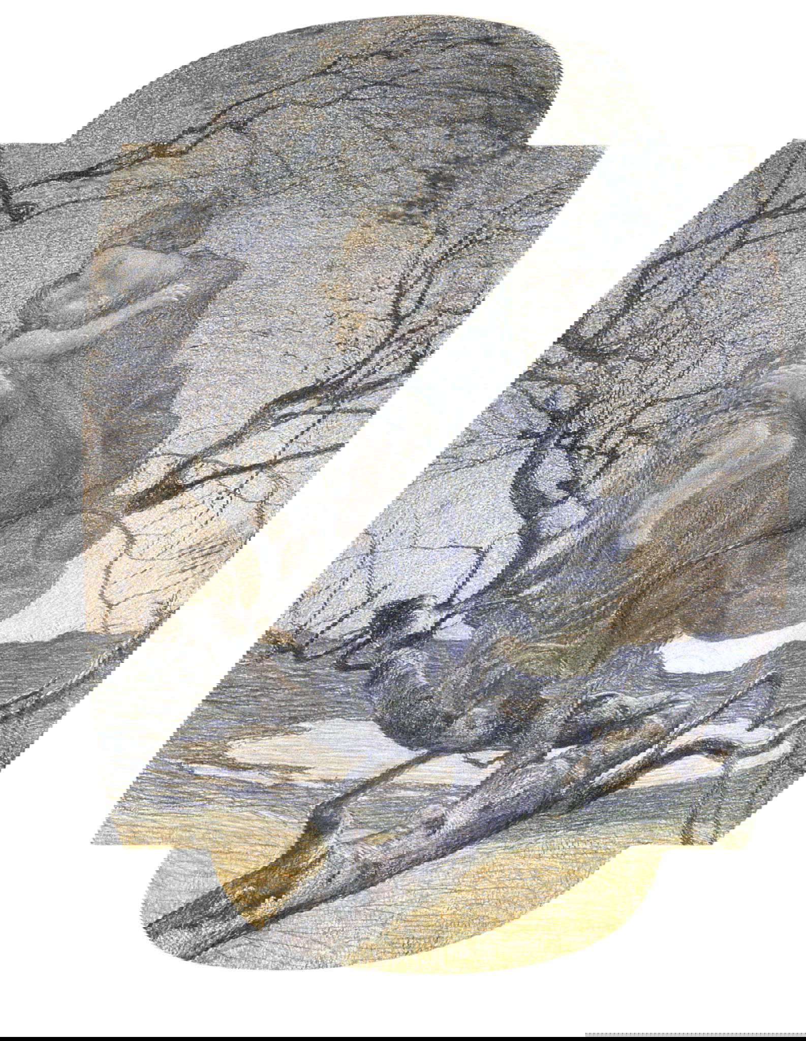 Giovanni Segantini, Angelo della vita (1896; matita colorata, pastello, matita dorata su carta, crayon Conté, 650 × 480 mm; St. Moritz, Segantini Museum)