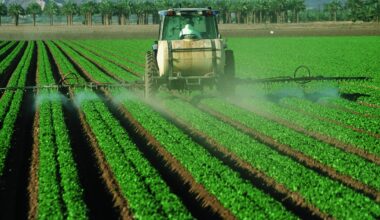 ritirato lo studio del 2000 che lo dichiarava sicuro