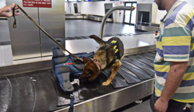 19mila prodotti usati per dimagrire e nella medicina estetica