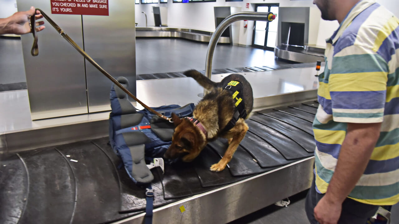 19mila prodotti usati per dimagrire e nella medicina estetica