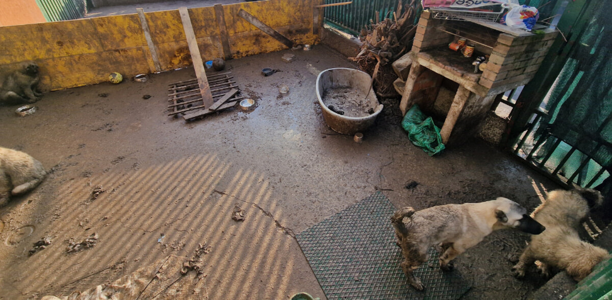 Il cortile del magazzino