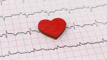 Il nervo vago mantiene il cuore giovane e in salute. La scoperta: “Nuove prospettive per chirurgia e trapianti”