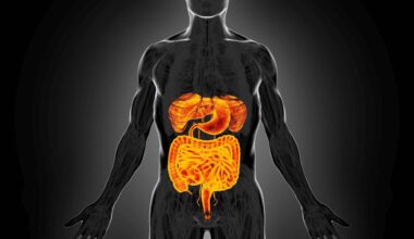 Intestino, contrastare l’invecchiamento e ridurre rischio tumori è possibile
