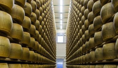 vai alla homepage de Il Sole 24 Ore