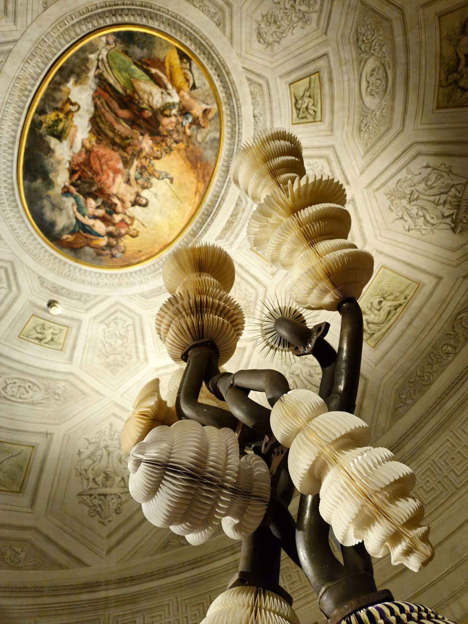 Allestimenti della mostra Keita Miyazaki. The Garden of Vanities