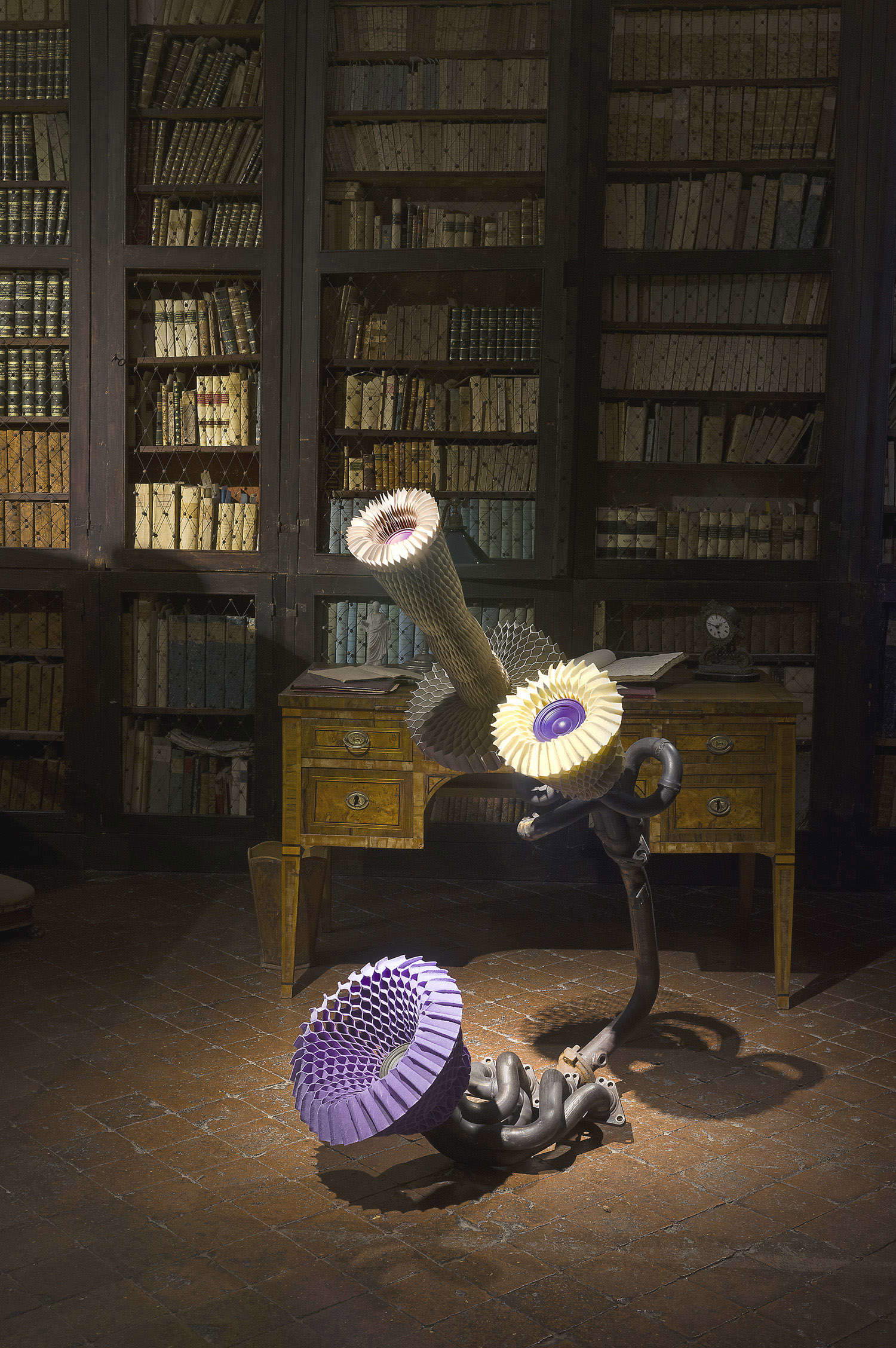 Allestimenti della mostra Keita Miyazaki. The Garden of Vanities