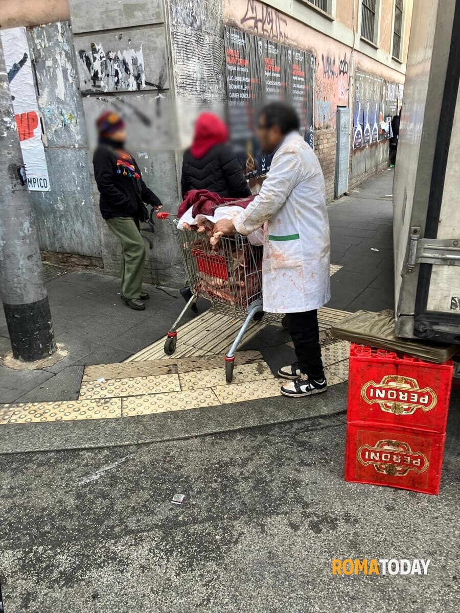 La carne nel carrello