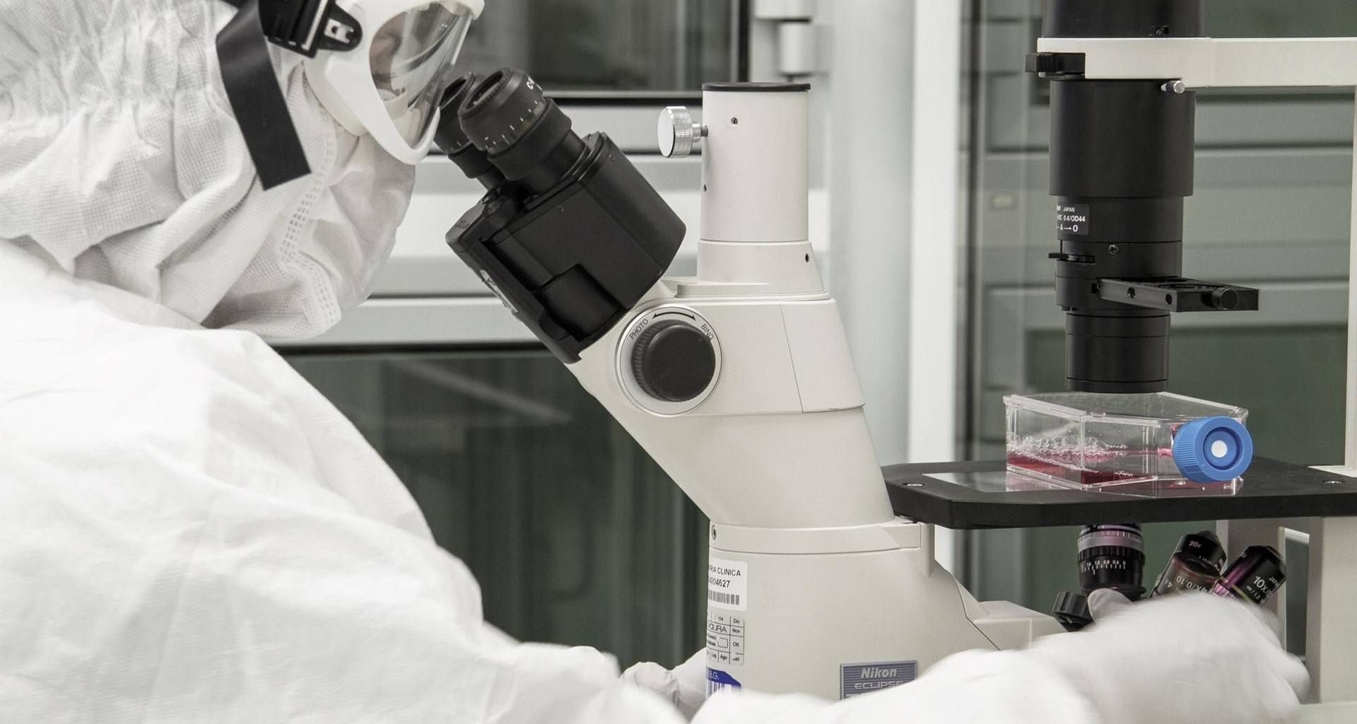 Scoperta per 'eterna giovinezza', così si ricaricano le cellule per fermare invecchiamento e curare malattie