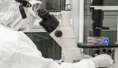 Scoperta per 'eterna giovinezza', così si ricaricano le cellule per fermare invecchiamento e curare malattie