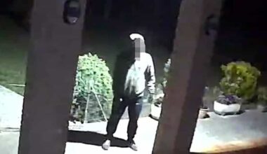 vittime anziana e nipote, il racconto