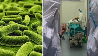 Torna la lebbra in Europa: casi accertati in Romania e Croazia. Palù: ''Spaventa oltre che per ragioni storiche per le conseguenze che causa. Oggi abbiamo farmaci molto efficaci''