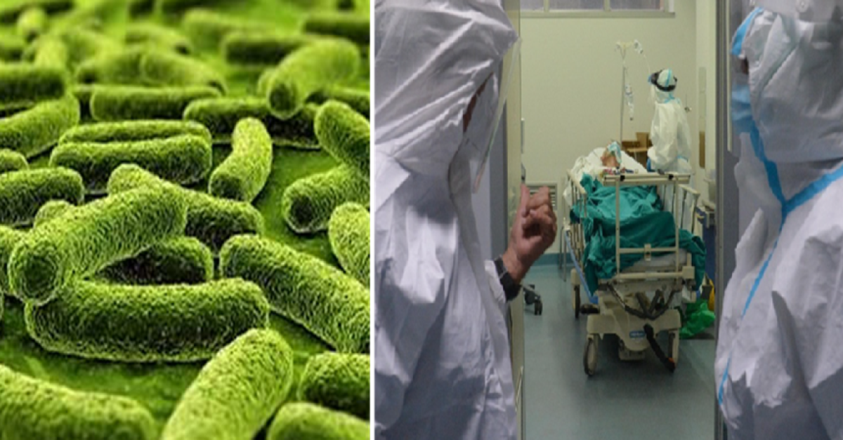 Torna la lebbra in Europa: casi accertati in Romania e Croazia. Palù: ''Spaventa oltre che per ragioni storiche per le conseguenze che causa. Oggi abbiamo farmaci molto efficaci''