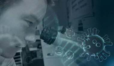 la novità di un ormone vegetale nel controllo delle proteine nel corpo